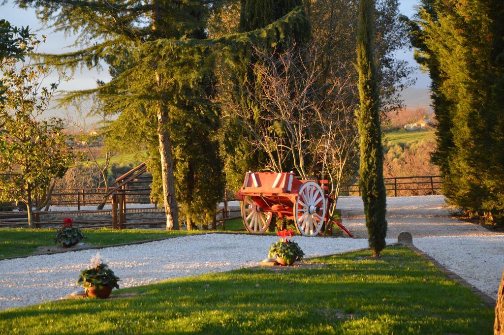 Agriturismo La Collina Pitigliano Quarto foto